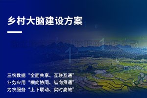 浙江乡村大脑建设方案