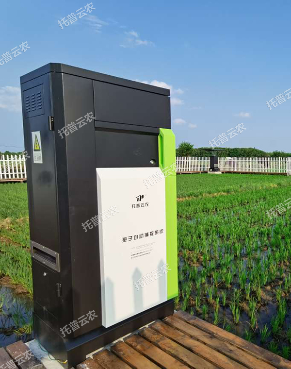 1685949130167153.jpg 9.jpg